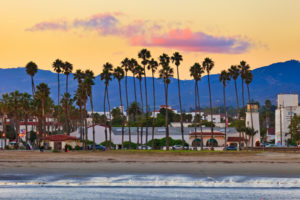 Read more about the article Strong Winds Topple Trees in SoCal