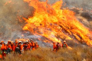 You are currently viewing The Largest Brush Fire in LA history over 30 Years