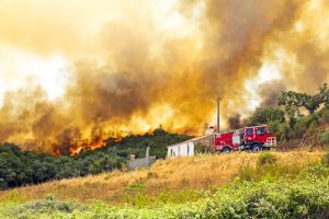 You are currently viewing Mass Evacuations Overnight: Multiple Major Wildfires in California