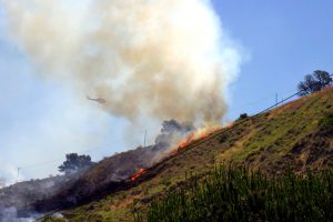 Read more about the article Brush Fire Erupted in Elysian Park: Southern California Areas Under Threat