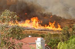 You are currently viewing At Least 31 Confirmed Deaths in NorCal: State Emergency Declared for Hundreds of Missing