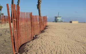 Read more about the article Beach, Trailheads Closed Despite Summer Temps