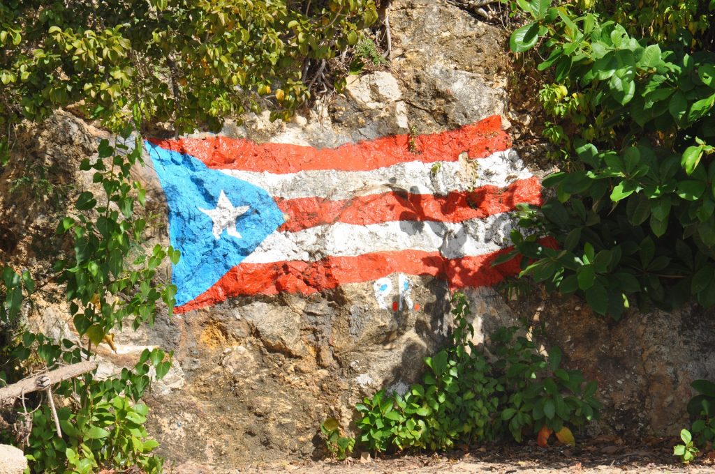 Puerto Rico Auto Transport 